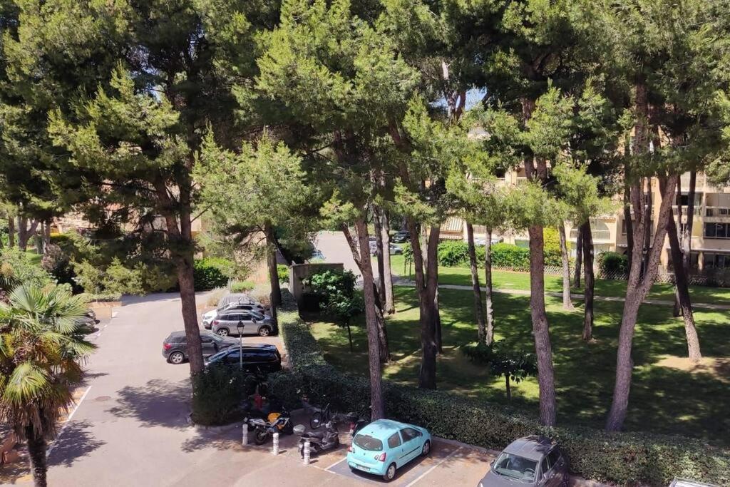 Bel Appartement Avec Piscine Proche Des Plages Six-Fours-les-Plages Εξωτερικό φωτογραφία
